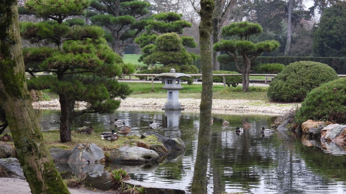Nordpark and Japanese Garden