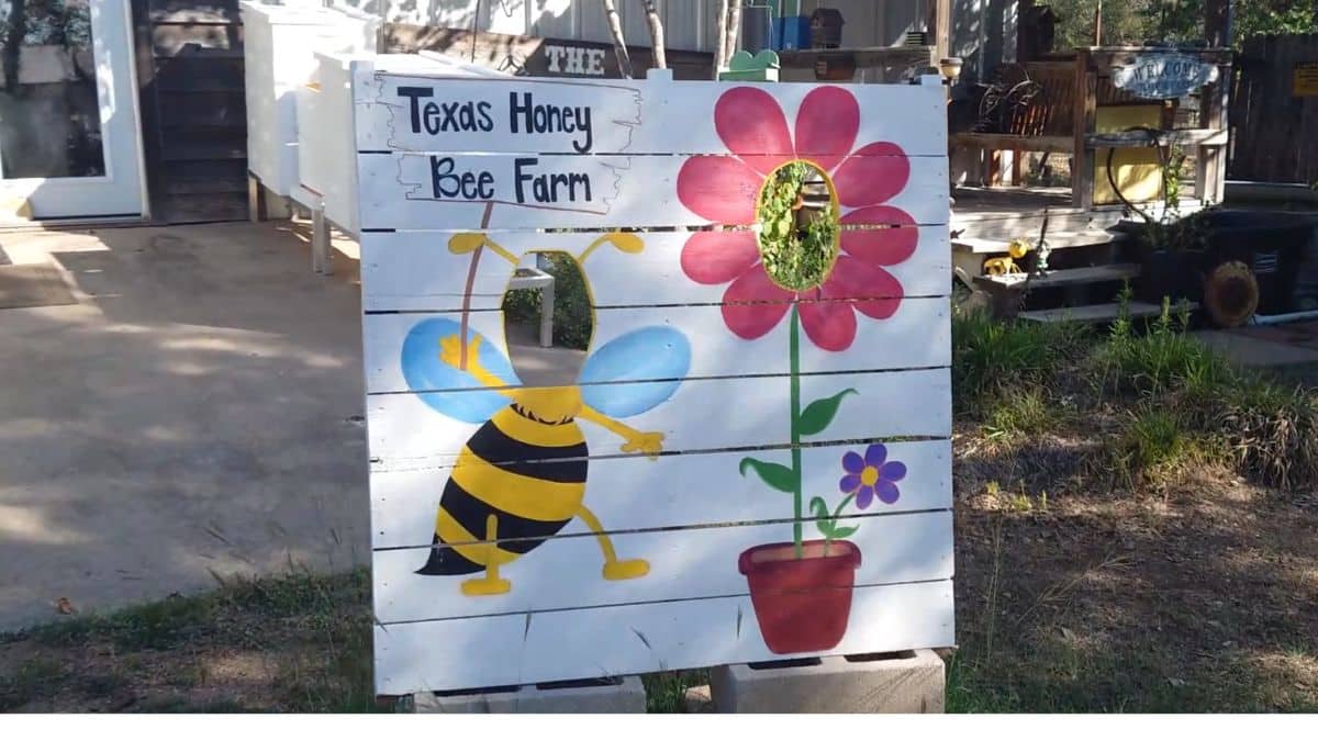 texas honey bee farm